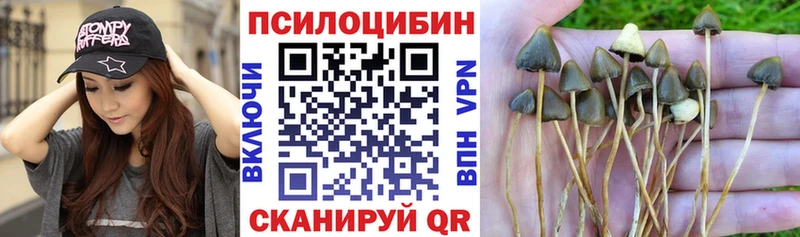 Галлюциногенные грибы MAGIC MUSHROOMS  Купить где  Ветлуга 
